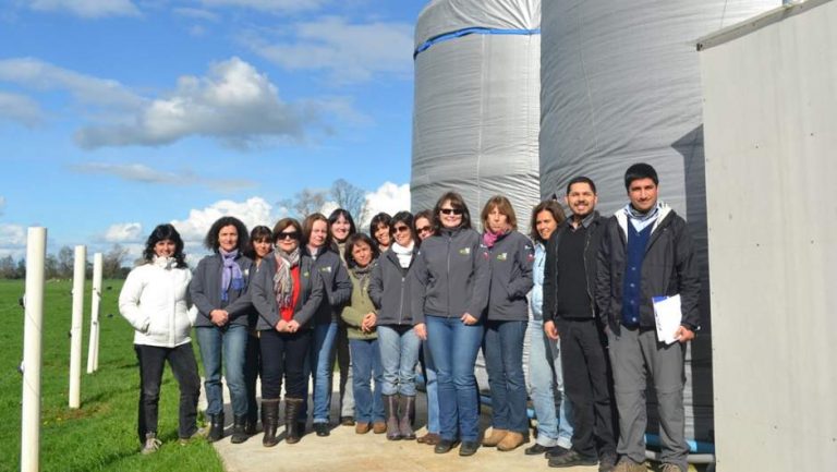 GTT Mujeres en Acción