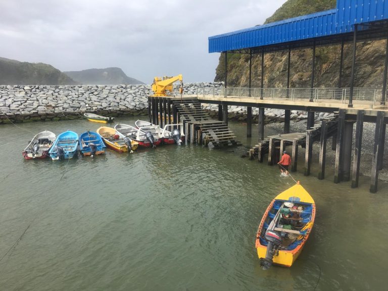 Caleta Estaquilla Los Lagos (4)