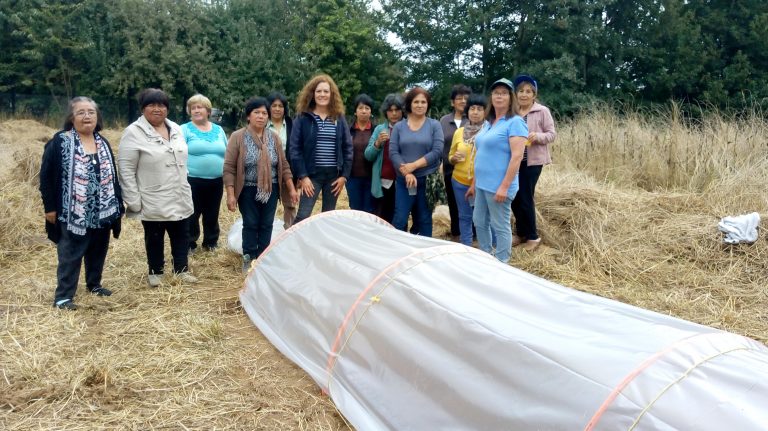 Foto 4 GTT Mapuche San Pablo (12-03-2020)