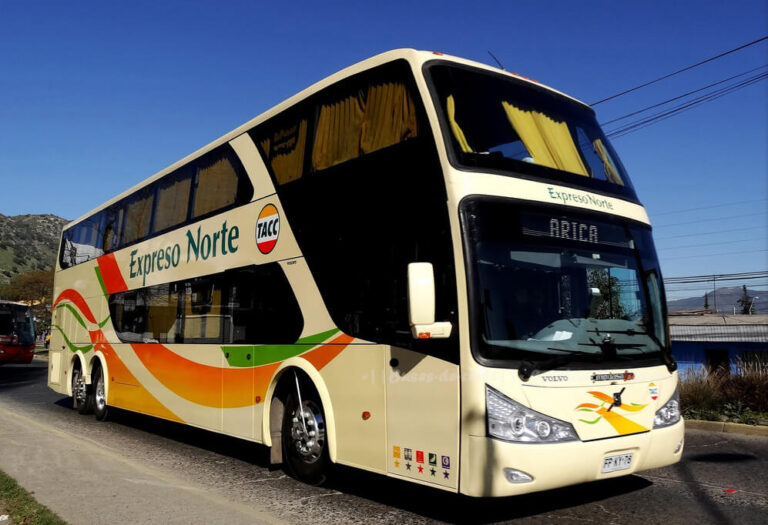 buses expreso norte