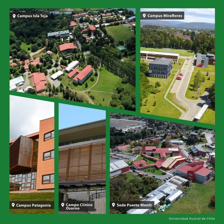 Collage Fotos Campus