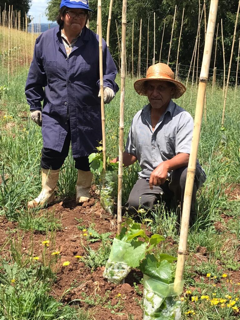 Agricultores de San Pablo