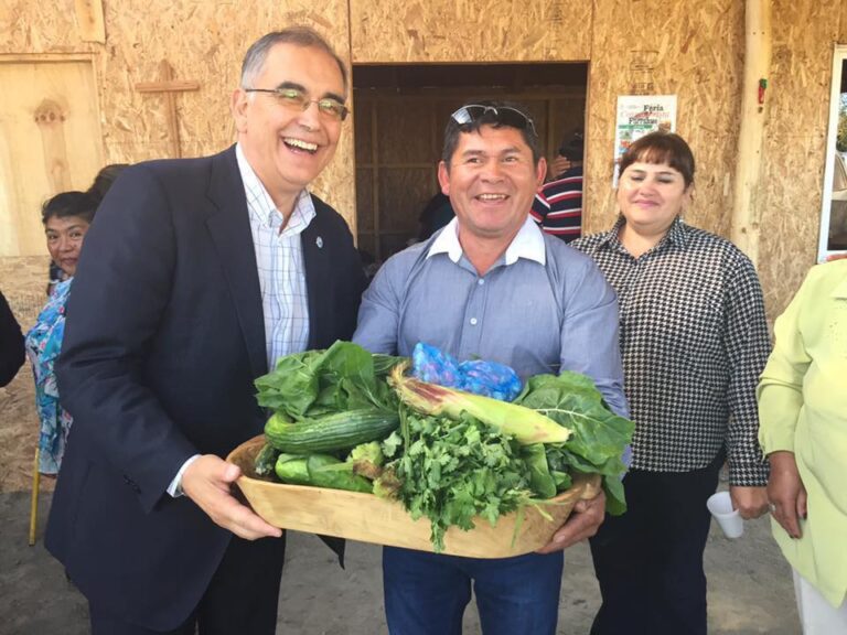 emeterio verduras