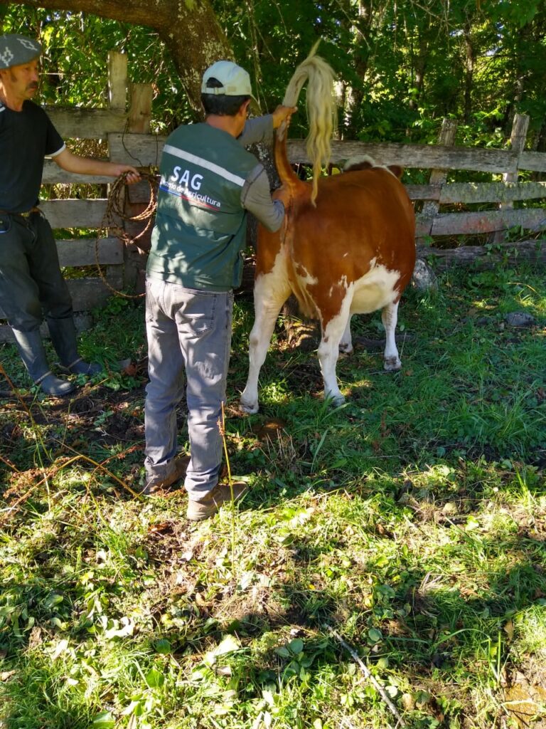 operativo sanitario_3