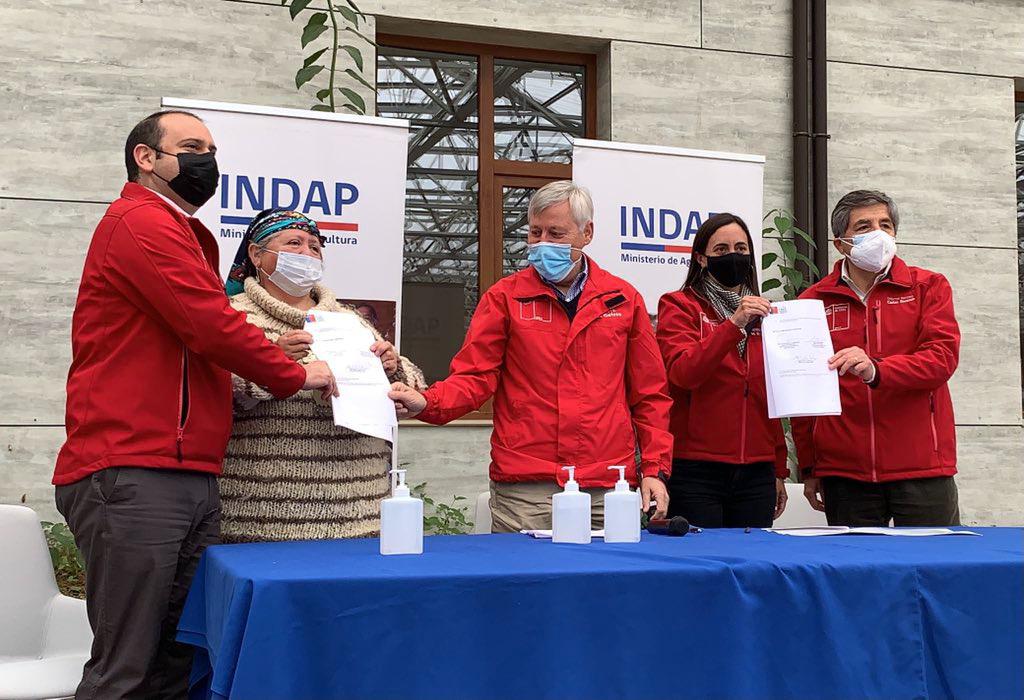 INDAP CONADI 01