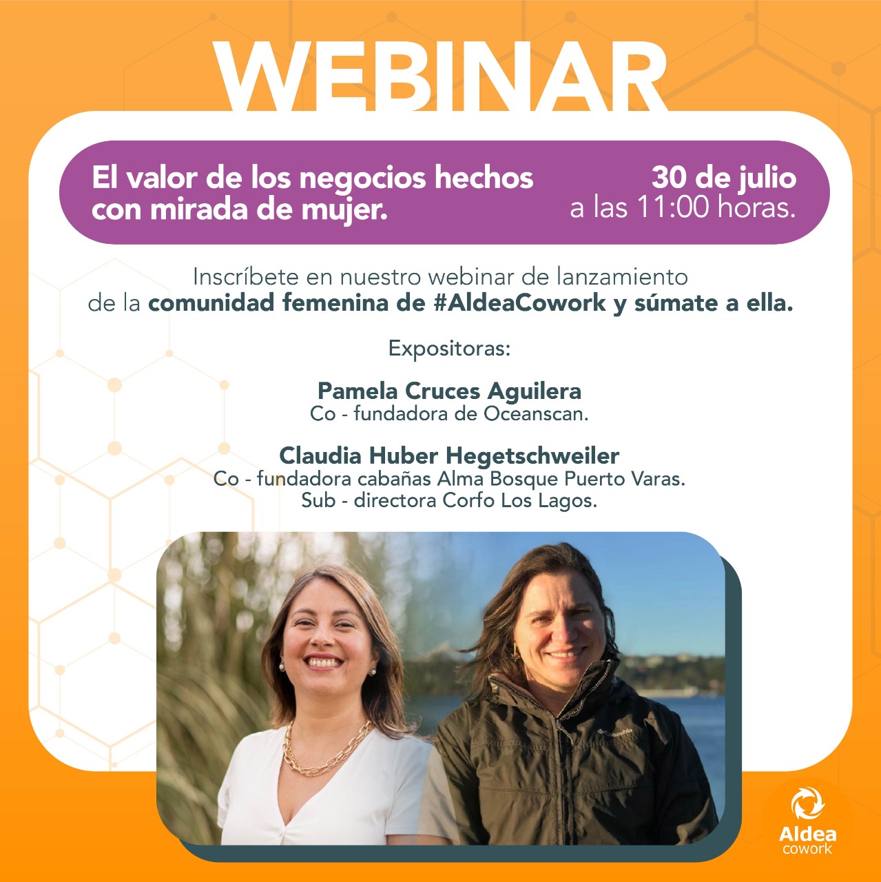 AficheWebinarFemeninoAldeaCowork