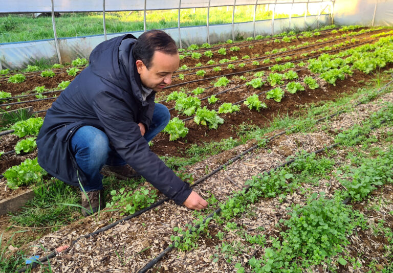 Uso de Mulch Vegetal para Cultivo de Hortalizas - IPAAM (1)