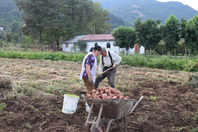 Pequenos agricultures septima region (1)