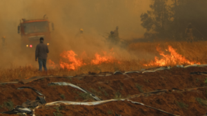 Incendios-forestales--818x460