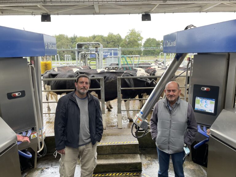 Francisco Candioti y Alfredo Torres en la lechería robotizada de INIA Remehue.