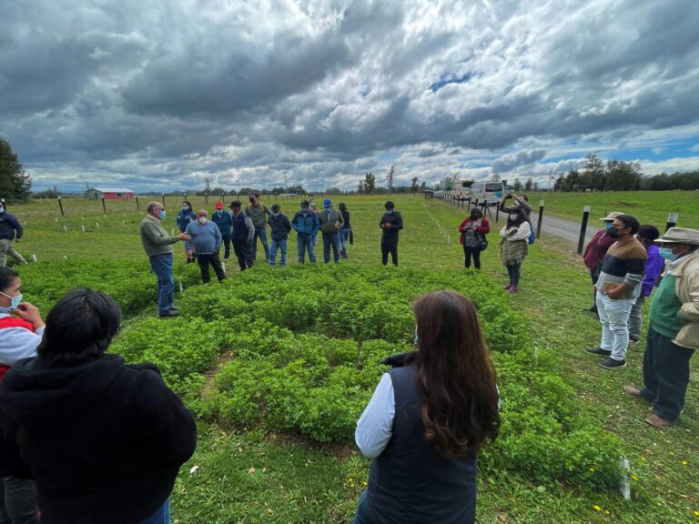 Visita a jardín de forrajeras 2