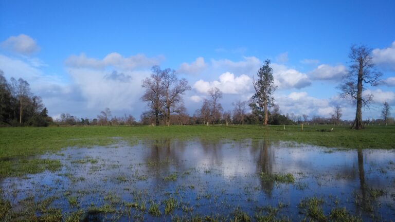 Lluvias intensas