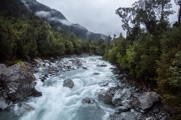 PN Hornopirén Río Blanco