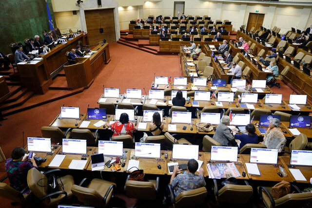 consejo-constitucional