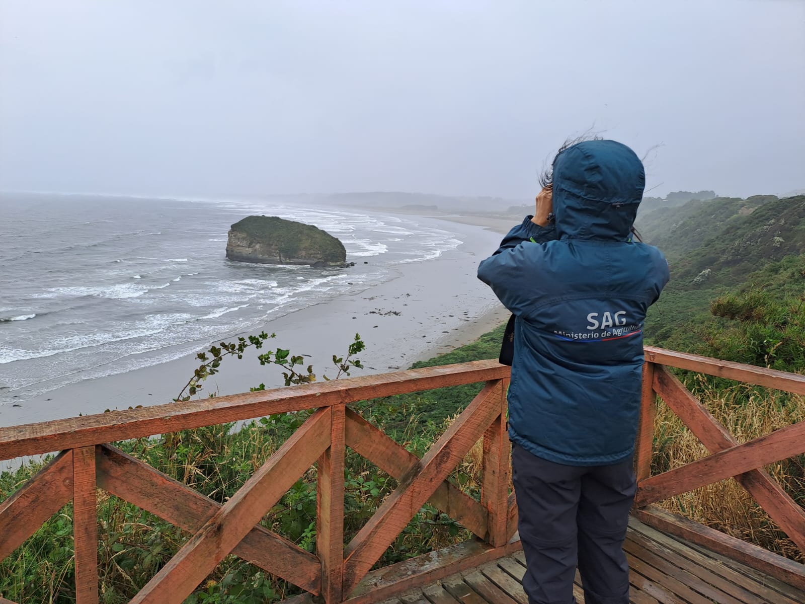 foto avistamiento de aves en Chiloé