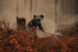 incendios-forestales-9