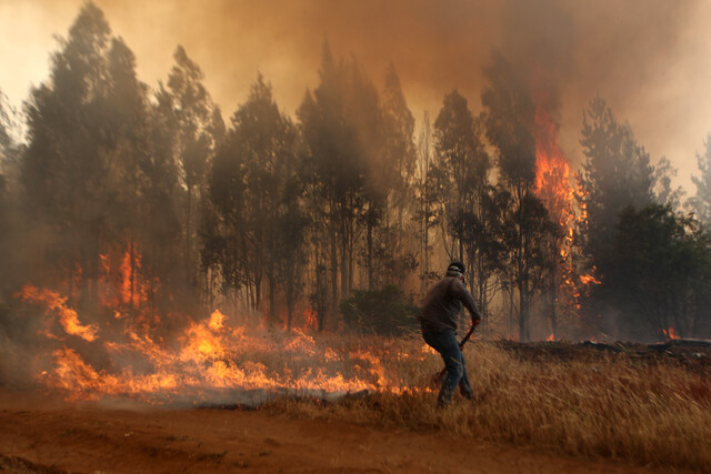 INCENDIOS 1