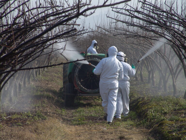 FISCALIZACION DE PLAGUICIDAS (5)