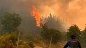 Incendio-forestal-en-Curacavi-y-Padre-Hurtado