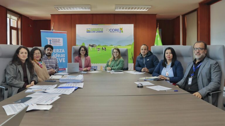 Fotografía - Comisión Evaluadora del Fondo de Medios finalizó proceso de priorización de proyectos que votará el CORE