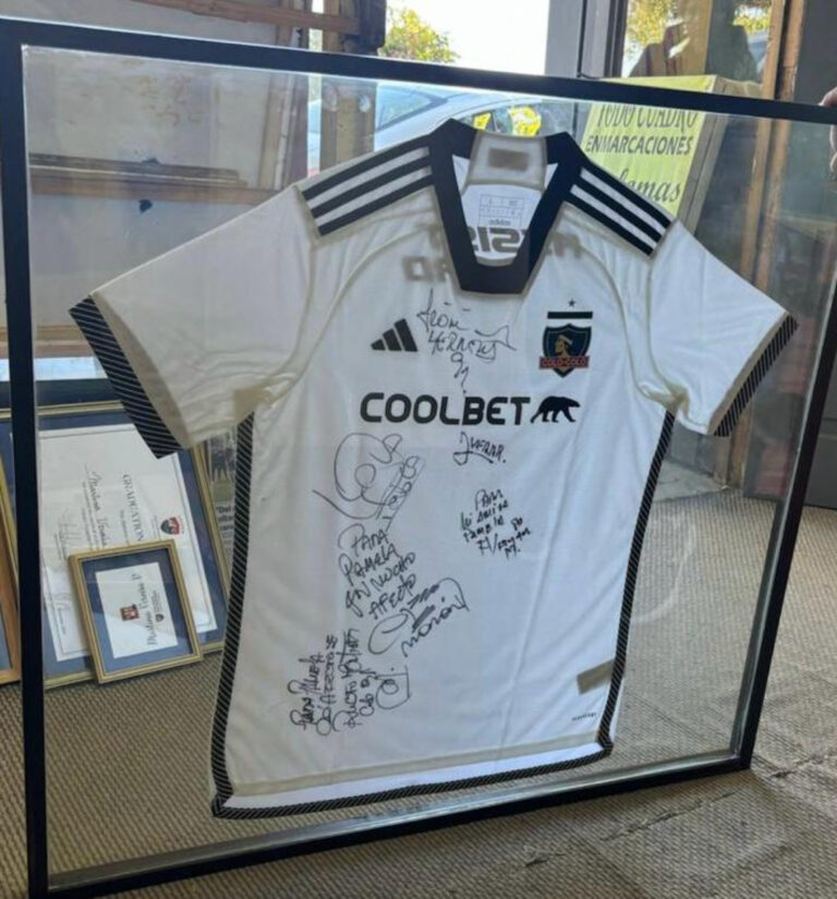 Camiseta Colo Colo