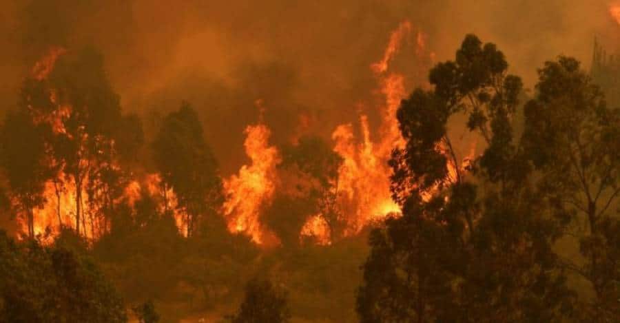 incendios_forestales_en_chile._foto_agencia_uno