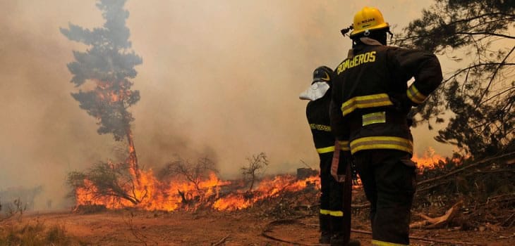 incendios_forestales_agencia_uno_5